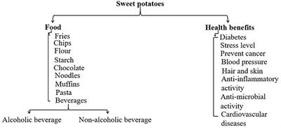 Energy efficient drying technologies for sweet potatoes: Operating and drying mechanism, quality-related attributes